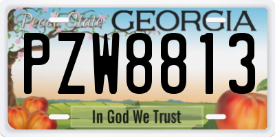GA license plate PZW8813