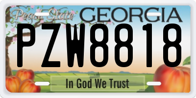 GA license plate PZW8818