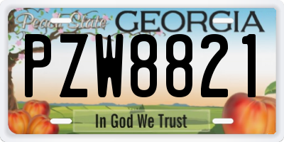 GA license plate PZW8821