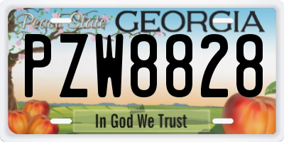 GA license plate PZW8828