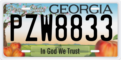 GA license plate PZW8833