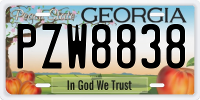 GA license plate PZW8838