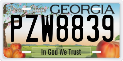 GA license plate PZW8839