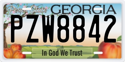 GA license plate PZW8842
