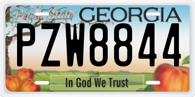 GA license plate PZW8844