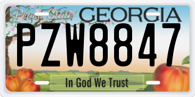 GA license plate PZW8847