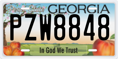 GA license plate PZW8848