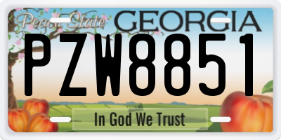 GA license plate PZW8851