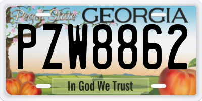GA license plate PZW8862
