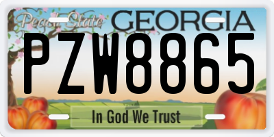 GA license plate PZW8865