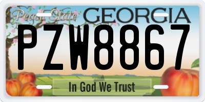GA license plate PZW8867