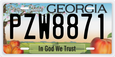GA license plate PZW8871