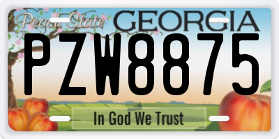 GA license plate PZW8875