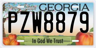GA license plate PZW8879