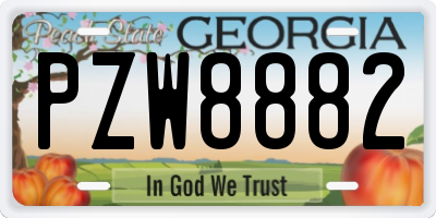 GA license plate PZW8882