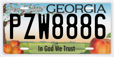 GA license plate PZW8886