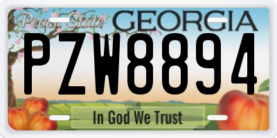 GA license plate PZW8894