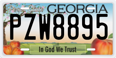 GA license plate PZW8895