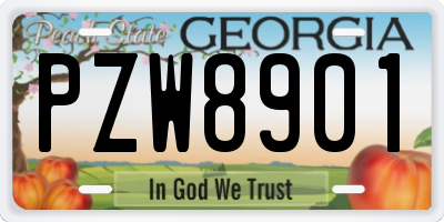 GA license plate PZW8901