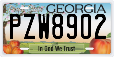 GA license plate PZW8902