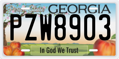 GA license plate PZW8903