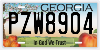 GA license plate PZW8904