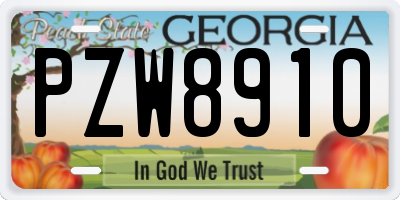 GA license plate PZW8910