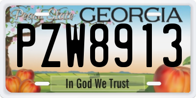GA license plate PZW8913