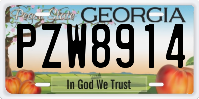 GA license plate PZW8914