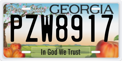 GA license plate PZW8917