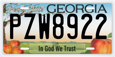 GA license plate PZW8922