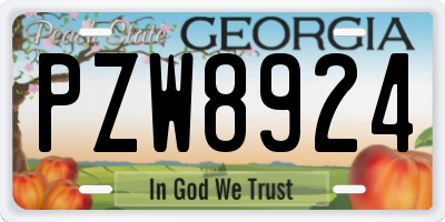 GA license plate PZW8924