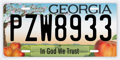 GA license plate PZW8933