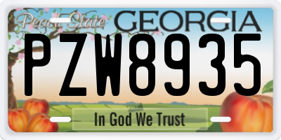 GA license plate PZW8935