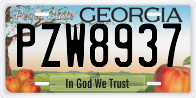 GA license plate PZW8937