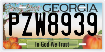 GA license plate PZW8939