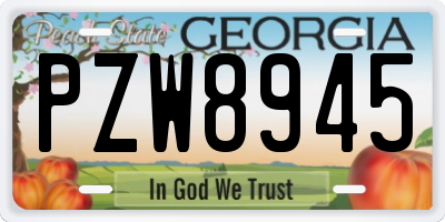 GA license plate PZW8945