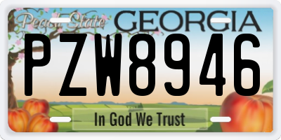 GA license plate PZW8946