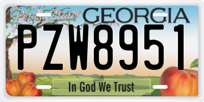 GA license plate PZW8951