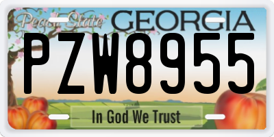 GA license plate PZW8955