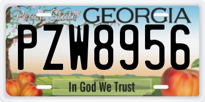 GA license plate PZW8956