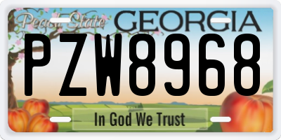 GA license plate PZW8968