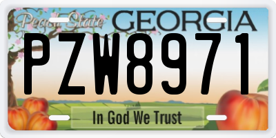 GA license plate PZW8971