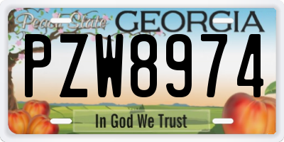 GA license plate PZW8974