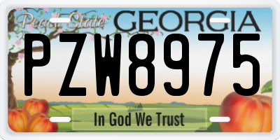 GA license plate PZW8975