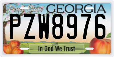 GA license plate PZW8976
