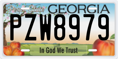GA license plate PZW8979