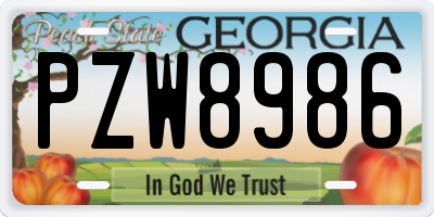 GA license plate PZW8986