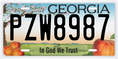 GA license plate PZW8987