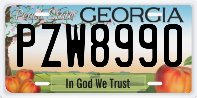 GA license plate PZW8990